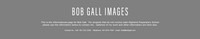 BGIbanner-1_3gbg