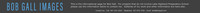 BGIbanner-1_3blu150