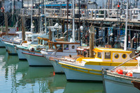 Fishing Boats