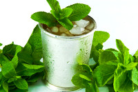 Mint Julep