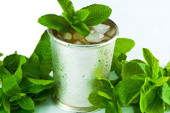 Mint Julep
