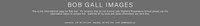BGIbanner-1_3-2