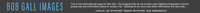 BGIbanner-1_3blu800L