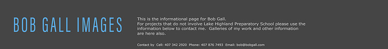 BGIbanner-1_3blu150h2
